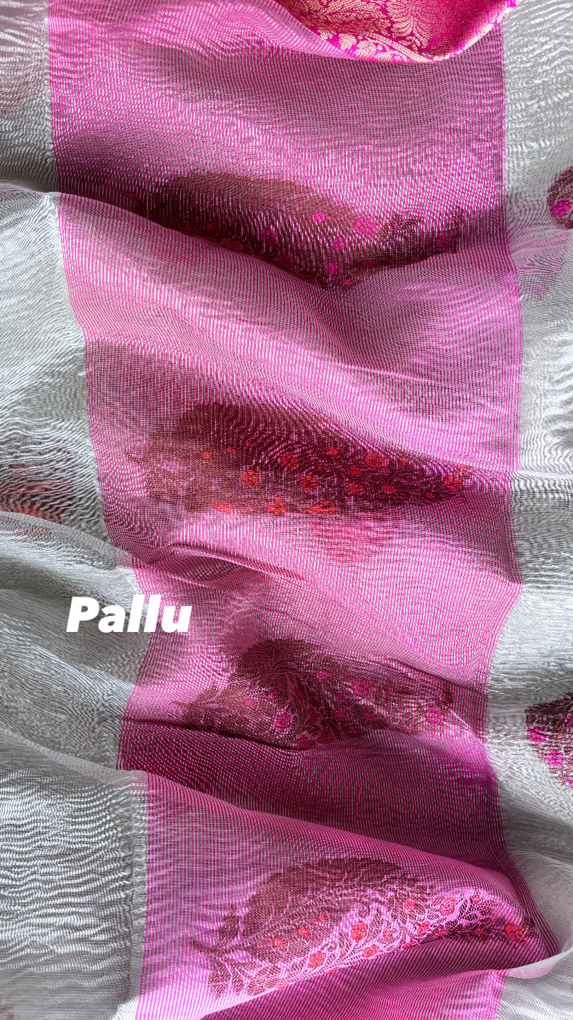 Beige Pastel tissue saree